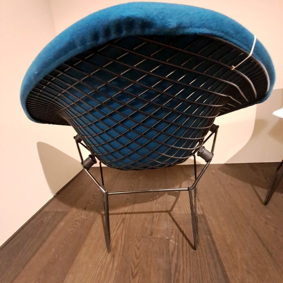 Image 1 of Poltrona relax Knoll Bertoia