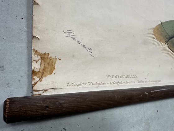 Image 1 of Carte scolaire vintage en lin XL - le homard