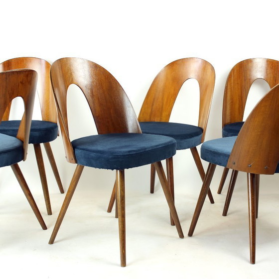 Image 1 of Set Of 6 Iconic Tatra Chairs In Walnut & Velvet By šuman, Nabytok Pravenec 1960s