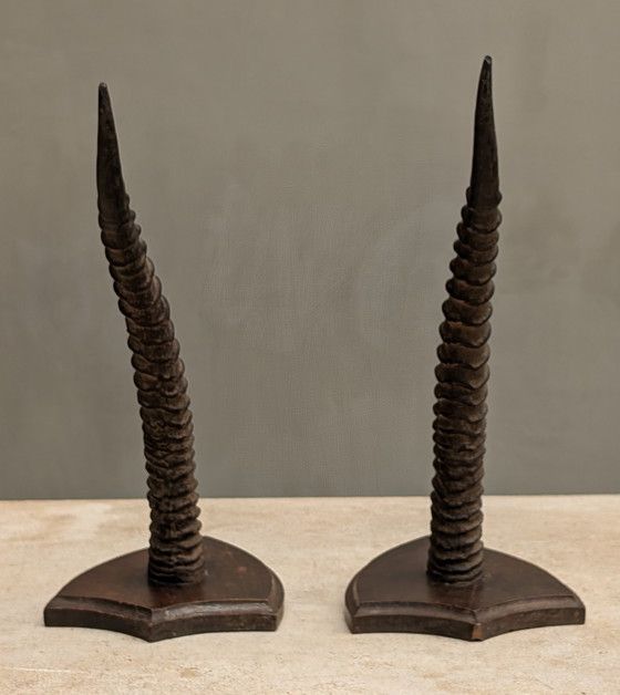 Image 1 of Set of Gazelle horns