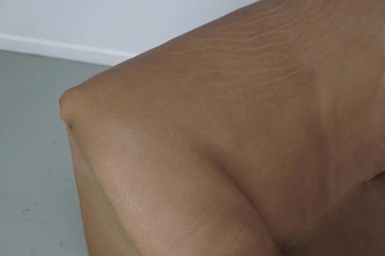 Image 1 of The Sede DS46 Lounge Armchair in Brown/Beige Buffalo Leather, Switzerland