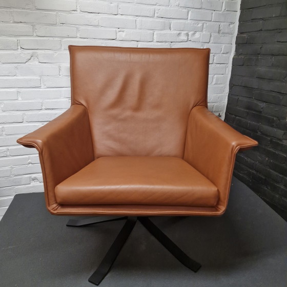 Design su modello stock Djenne – Design on Stock, Poltrone, Leather, Metal (photo 7 of 10)