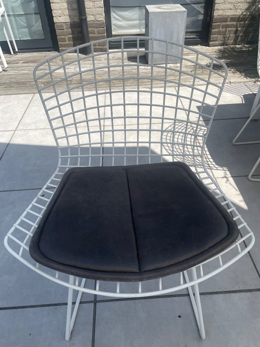 Originele Harry Bertoia Vintage Draadstoel – Vintage Wire Side Chair Van Knoll – 6 Stuks – tuinstoelen, rvs