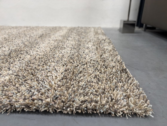 Brink en Campman Young Driftwood 61805 240x345 – Brink & Campman, Tapis, Laine (photo 4 of 7)