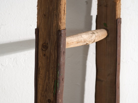 Antieke grenen houten ladder, Centraal-Europa, circa 1900, Decoratieve objecten, IJzer, Bruin, Rustic (foto 2 van 8)