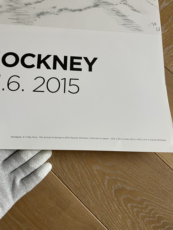 Image 1 of David Hockney, Woldgate, 6-7 May from The Arrival of Spring in 2013, Copyright David Hockney