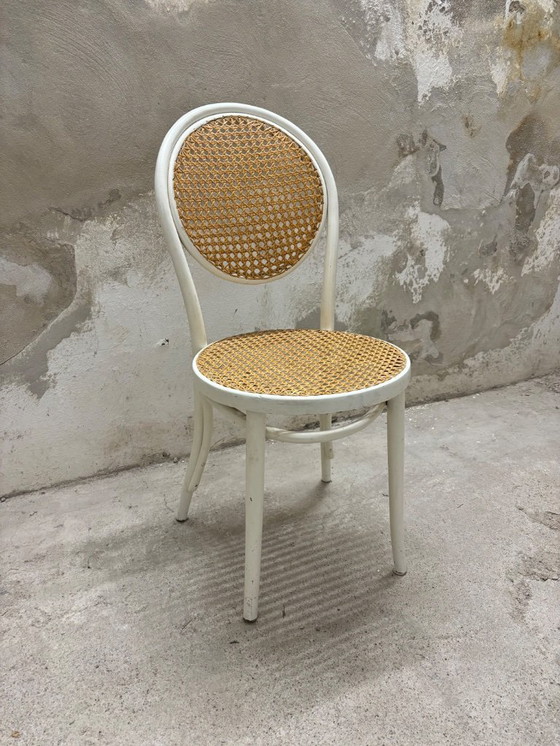 Image 1 of Thonet ZPM Radomsko Stuhl Kaffeehaus