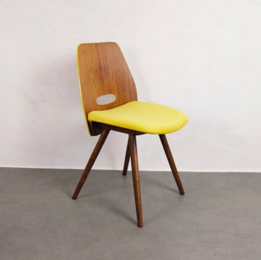 4x Chairs Tatra Pravenec "Morning Sun"