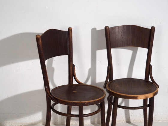 Thonet-Mundus antique bentwood chairs (c.1920). Set of 4 pieces #3 – Dining chairs (photo 26 of 40)