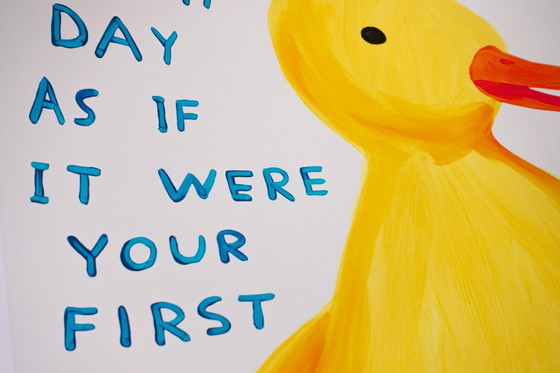 Image 1 of Leef elke dag alsof het je eerste is - David Shrigley - Poster 50 × 70 cm