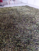Vloerkleed 2x3 meter