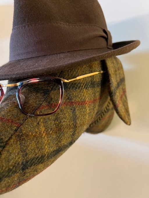 Softhead Braco Belmont