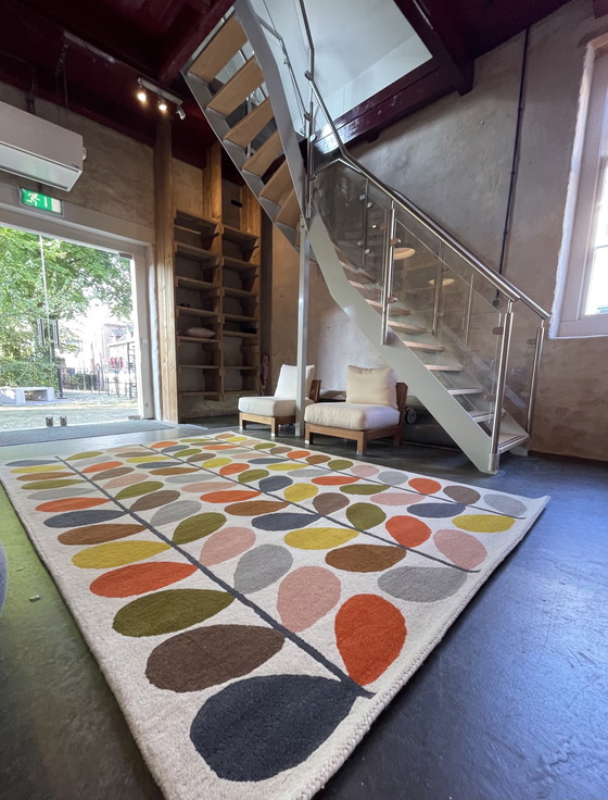 Image 1 of Brink and Campman Orla Kiely Classic Multi Stem