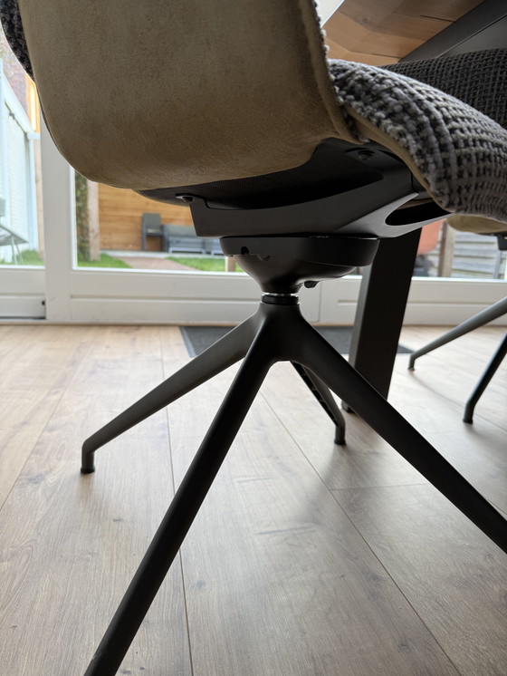 Image 1 of Bert Platangie Tara Donna 6x