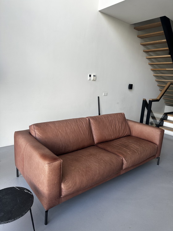 Image 1 of Linteloo Forever Canapé en cuir