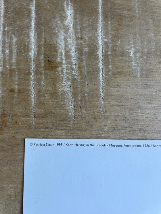 Image 1 of Keith Haring (1958-1990), Keith Haring en el Museo Stedelijk, Copyright Patricia Steur 1995, Impreso en Holanda