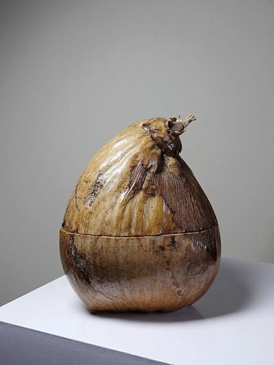 Scatola curiosa vintage anni '50-'60, secchiello per ghiaccio in cocco naturalizzato., Accessori da tavola (foto 4 di 14)