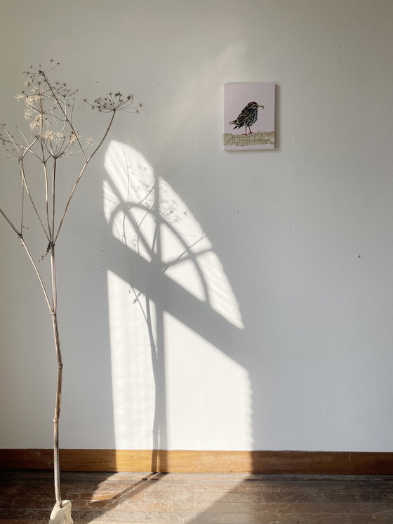 Image 1 of Retrato de un joven estornino