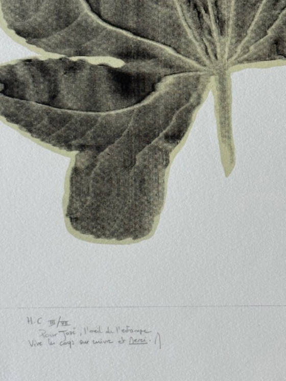 Image 1 of Due litografie firmate e numerate - Artista da identificare