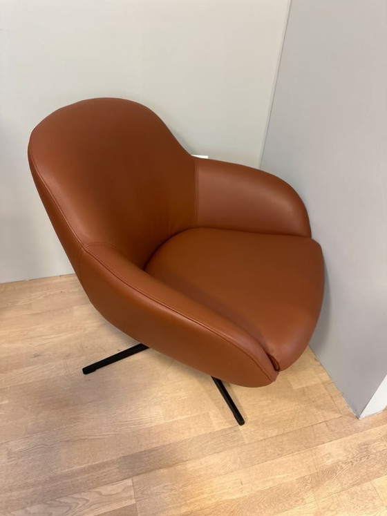 Image 1 of Jester club chair by Signet