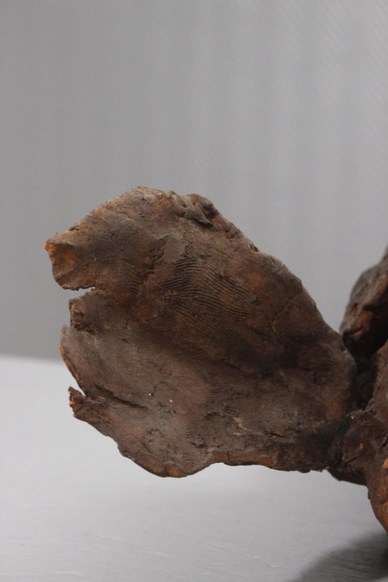 Image 1 of Philippe Conficconi (1962-2019) Large terracotta grouper animal sculpture