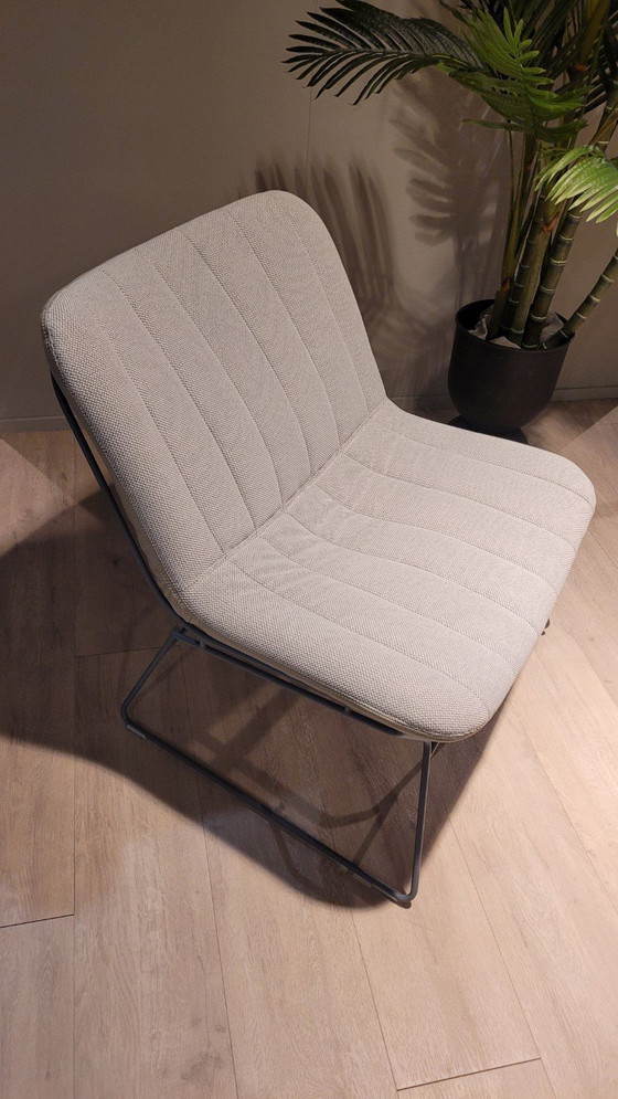 Poltrona Bert Plantagie in filo metallico – Poltrone (photo 2 of 5)