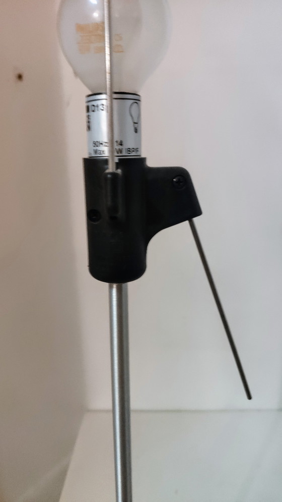 Image 1 of Constanza Luceplan : Designer Paola Rizzatto