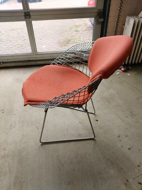 Image 1 of Bertoia Diamantstühle Knoll