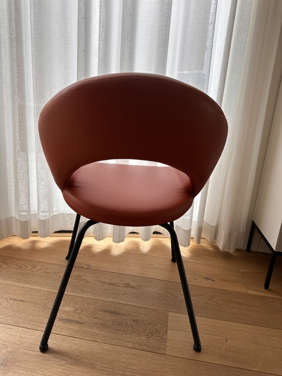 Image 1 of 4 sedie Artifort Nina