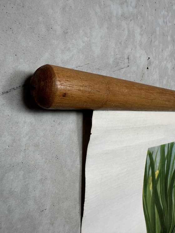 Carte scolaire en lin vintage - Dans le fossé et l'étang (M.A. Koekkoek) – Wolters, Décorations murales, Wood (photo 7 of 12)