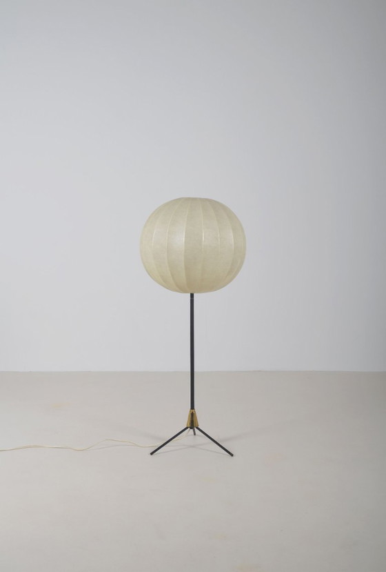 Image 1 of Lampadaire trépied vintage en forme de cocon avec accents en laiton, années 1960
