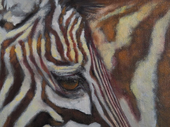 Image 1 of Zebra Portrait Oil on canvas