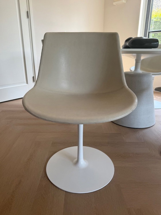 Set di 6 sedie Flow Italia in MDF – in pelle – MDF Italia, Sedie da pranzo, Leather (photo 3 of 8)