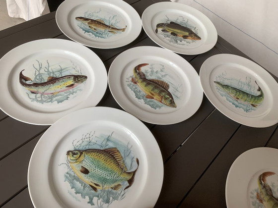 Image 1 of 6 fish plates in genuine Limoges porcelain