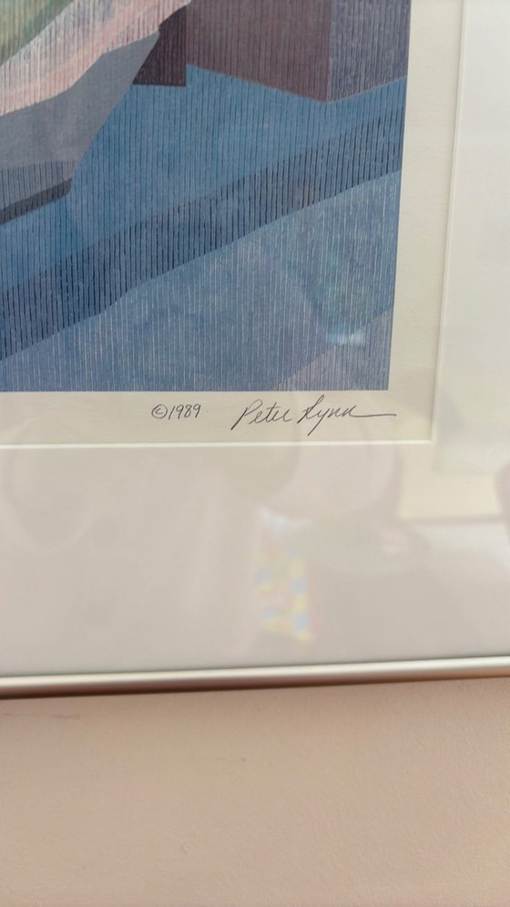 Image 1 of peter lynn kleurzeefdruk ingelijst schilderij