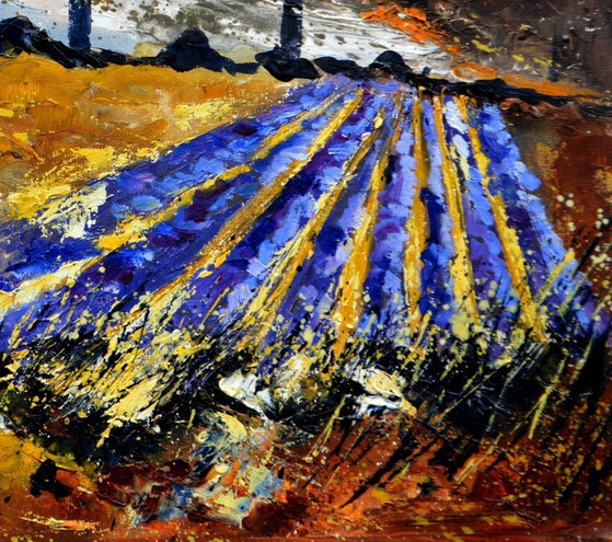 Image 1 of Lavender in Provence