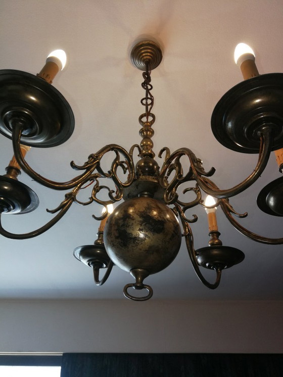 Image 1 of lucentezza da clone fiammingo