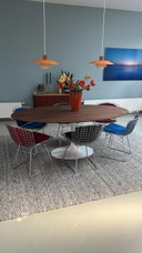 Tulip oval table in walnut
