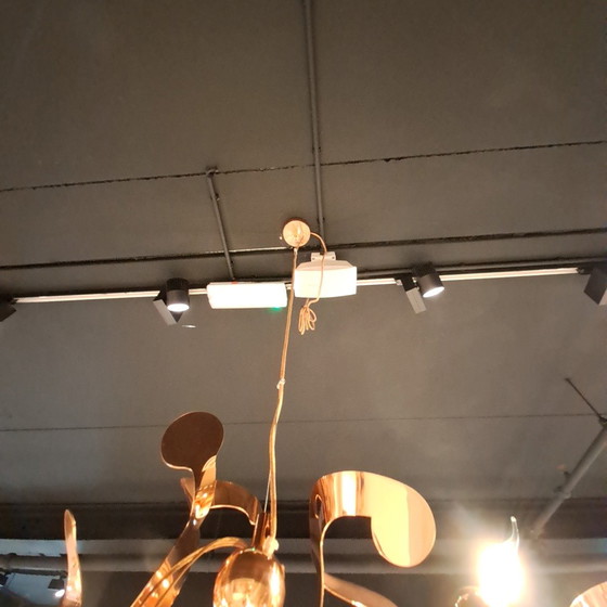 Image 1 of Lustre de marque van Egmond Kelp