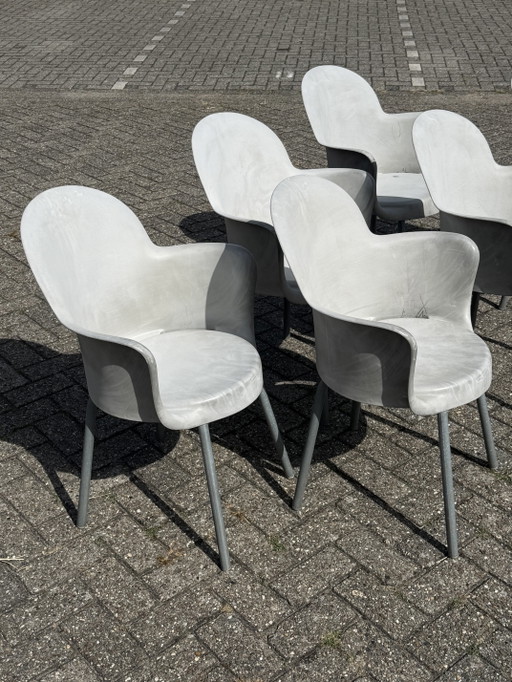 6x Marcello Ziliane Sinesto Gogo chair