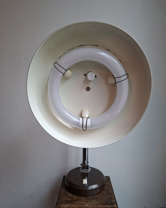 Rare Hala Zeist '144' Desk Lamp, 1st Generation, LED Upgrade, Table lamps, Chrome, Metal, Brown (photo 5 of 15)