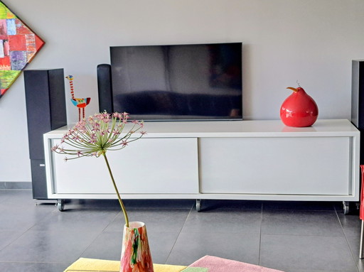 In Opdracht Gemaakt TV-Verplaatsbaar-Meubel Met Plek Voor Alle Apparatuur, Afstandsbedieningen, Spelletjes, E.D.