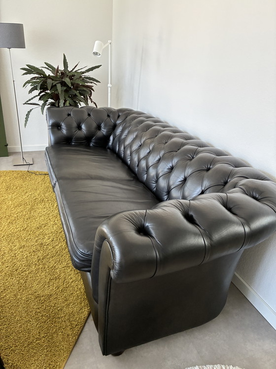 Chesterfield 3Zitter ! – Bendic, 3-5 zitsbanken, Leather (photo 2 of 9)