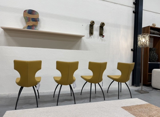 Image 1 of 4 Leolux Callas dining chairs yellow leather