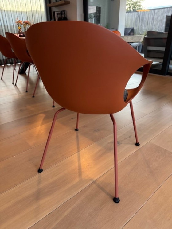 Image 1 of Sedia da pranzo Kristallia Elephant