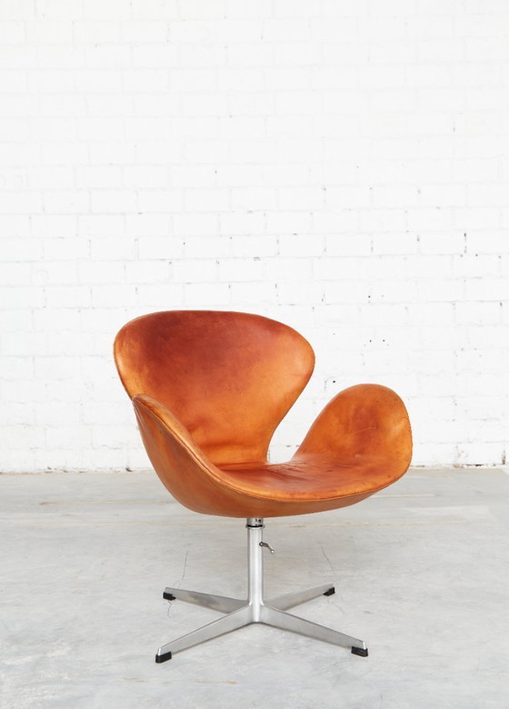 Image 1 of Sedia Swan disegnata da Arne Jacobsen per Fritz Hansen