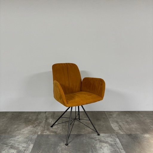 Nando 4er-Set – Bert Plantagie, eetkamerstoelen