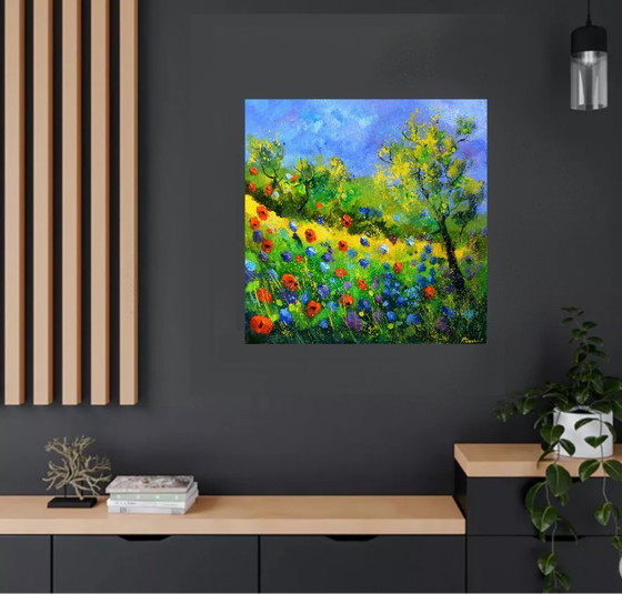 Image 1 of Rode klaprozen 77