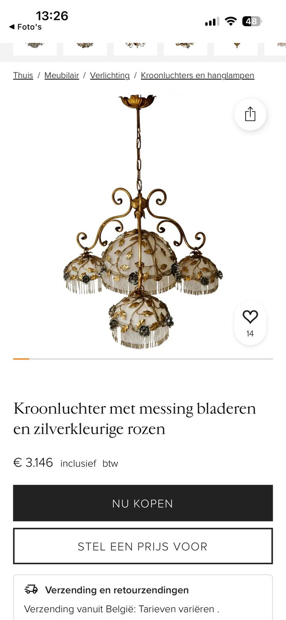 Image 1 of Exclusive chandelier with brass leaves and silver-colored roses