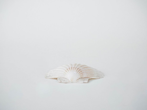 Image 1 of Coquillage décoratif, style bohème, années 1980